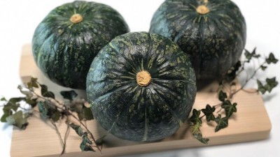 제주 미니 단호박 10kg 득템 후기! 꿀팁 대방출🧡