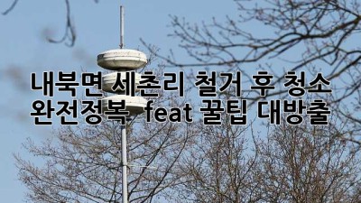 💥 내북면 세촌리 철거 후 청소 완전정복! ✨ (feat. 꿀팁 대방출)
